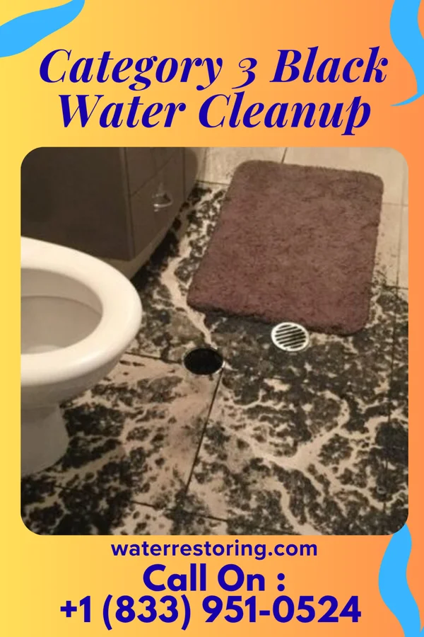 Category 3 Black Water Cleanup in McCartys Village, NM