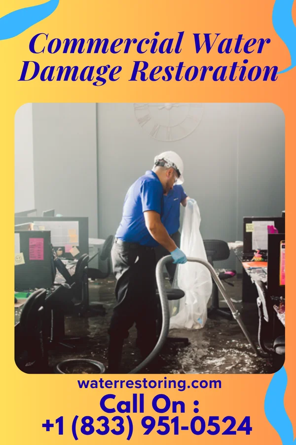 Commercial Water Damage Restoration in McCartys Village, NM